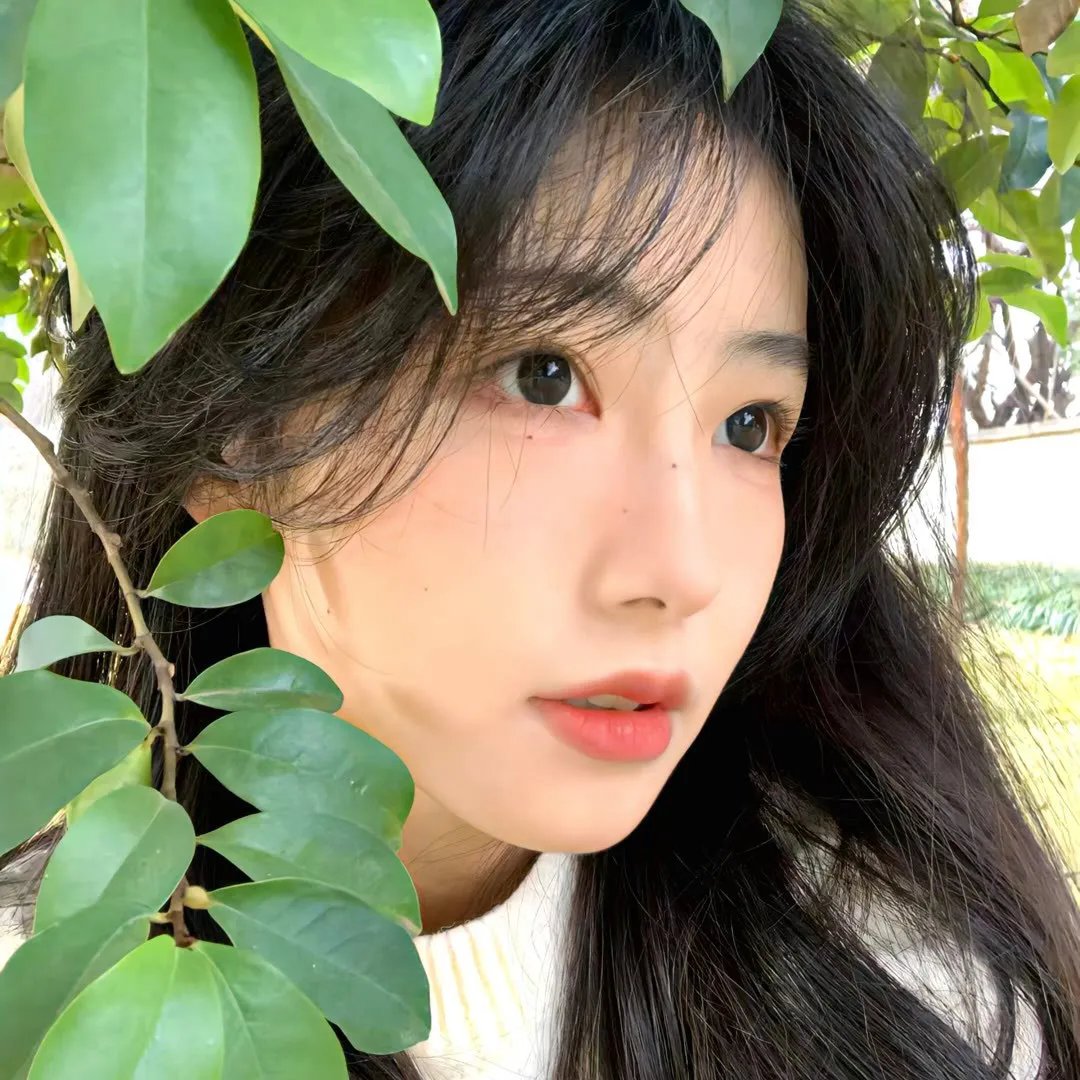 小佳人